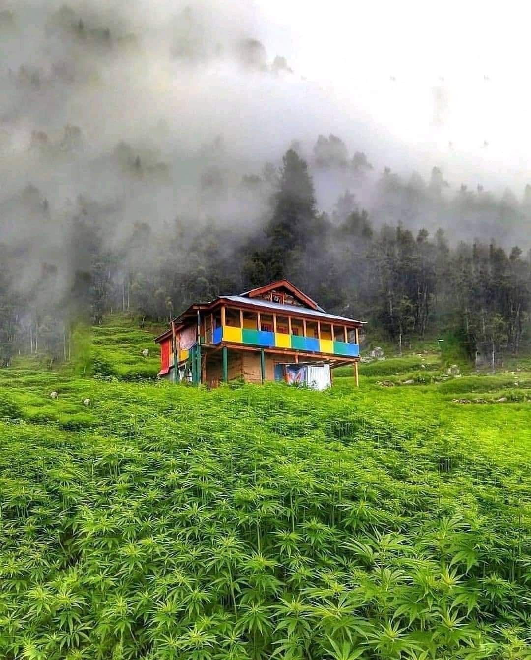 Jibhi Tirthan Valley